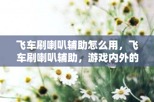 飞车刷喇叭辅助怎么用,飞车刷喇叭辅助,游戏内外的声音掌控 飞车刷喇叭辅助怎么用,飞车刷喇叭辅助,游戏内外的声音掌控