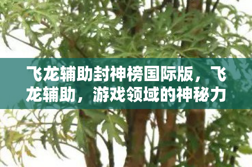 飞龙辅助封神榜国际版,飞龙辅助,游戏领域的神秘力量 飞龙辅助封神榜国际版,飞龙辅助,游戏领域的神秘力量