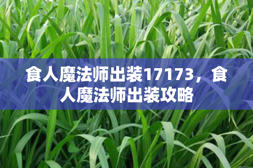 食人魔法师出装17173，食人魔法师出装攻略