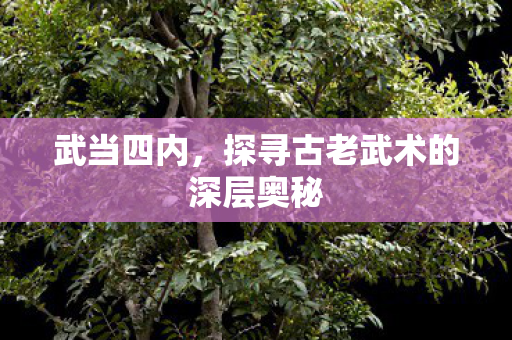 武当四内，探寻古老武术的深层奥秘