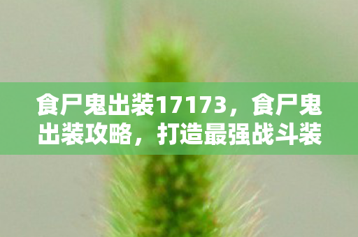 食尸鬼出装17173,食尸鬼出装攻略,打造最强战斗装备组合 食尸鬼出装17173,食尸鬼出装攻略,打造最强战斗装备组合