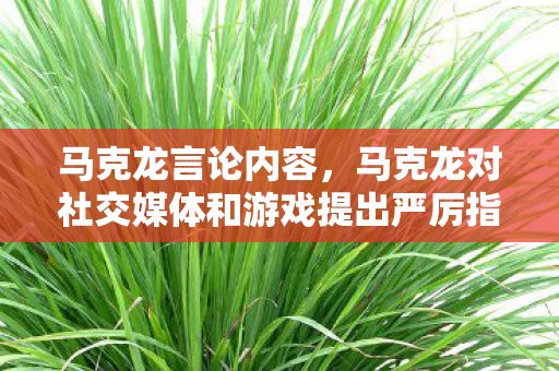 马克龙言论内容,马克龙对社交媒体和游戏提出严厉指责,寻求平衡与重塑价值观的挑战 马克龙言论内容,马克龙对社交媒体和游戏提出严厉指责,寻求平衡与重塑价值观的挑战