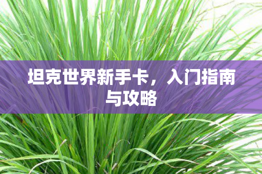 坦克世界新手卡，入门指南与攻略