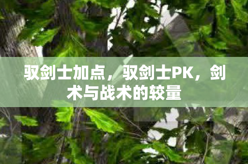 驭剑士加点，驭剑士PK，剑术与战术的较量