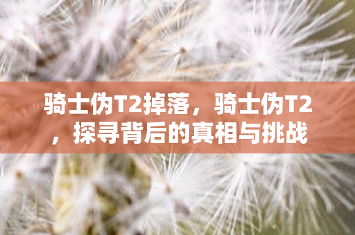 骑士伪T2掉落,骑士伪T2,探寻背后的真相与挑战 骑士伪T2掉落,骑士伪T2,探寻背后的真相与挑战