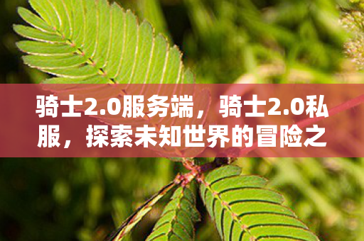 骑士2.0服务端,骑士2.0私服,探索未知世界的冒险之旅 骑士2.0服务端,骑士2.0私服,探索未知世界的冒险之旅