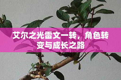 艾尔之光雷文一转，角色转变与成长之路