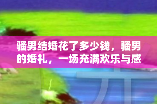 骚男结婚花了多少钱，骚男的婚礼，一场充满欢乐与感动的派对盛宴