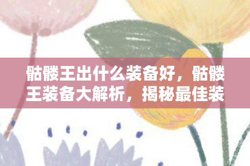 骷髅王出什么装备好,骷髅王装备大解析,揭秘最佳装备搭配 骷髅王出什么装备好,骷髅王装备大解析,揭秘最佳装备搭配
