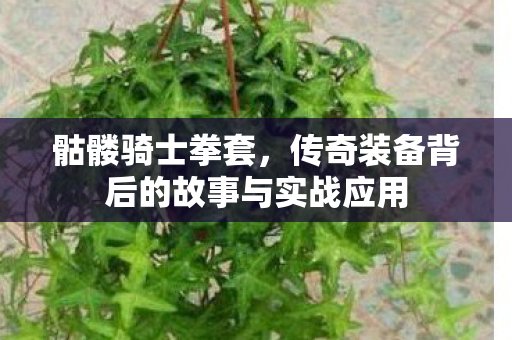 骷髅骑士拳套，传奇装备背后的故事与实战应用