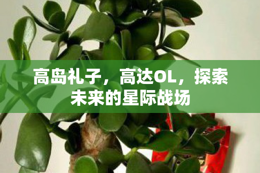 高岛礼子，高达OL，探索未来的星际战场