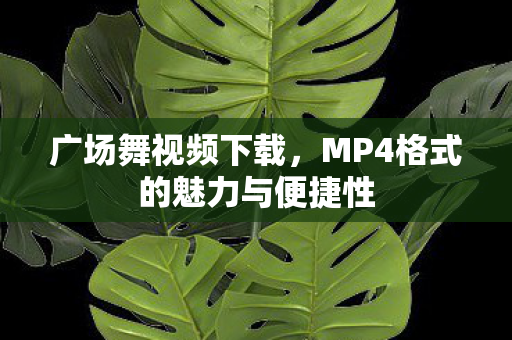 广场舞视频下载，MP4格式的魅力与便捷性