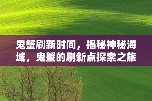鬼蟹刷新时间,揭秘神秘海域,鬼蟹的刷新点探索之旅 鬼蟹刷新时间,揭秘神秘海域,鬼蟹的刷新点探索之旅