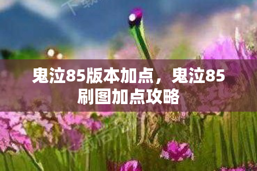 鬼泣85版本加点,鬼泣85刷图加点攻略 鬼泣85版本加点,鬼泣85刷图加点攻略