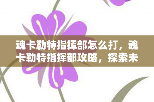 魂卡勒特指挥部怎么打，魂卡勒特指挥部攻略，探索未知领域，挑战极限挑战