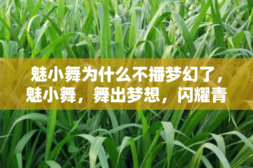 魅小舞为什么不播梦幻了，魅小舞，舞出梦想，闪耀青春的光彩