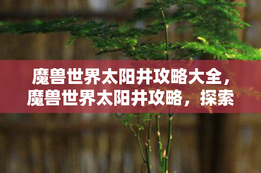 魔兽世界太阳井攻略大全,魔兽世界太阳井攻略,探索未知,挑战极限 魔兽世界太阳井攻略大全,魔兽世界太阳井攻略,探索未知,挑战极限