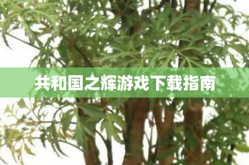 共和国之辉游戏下载指南