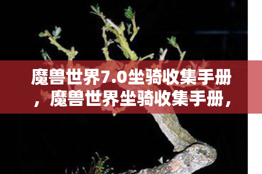 魔兽世界7.0坐骑收集手册，魔兽世界坐骑收集手册，从入门到精通的指南