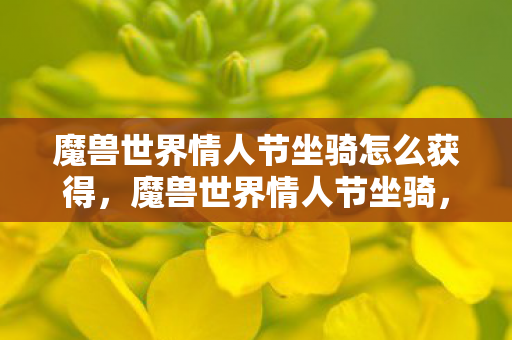 魔兽世界情人节坐骑怎么获得，魔兽世界情人节坐骑，爱的速度与力量