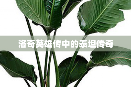 洛奇英雄传中的泰坦传奇