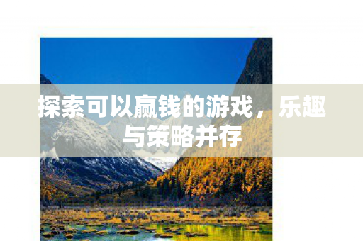 探索可以赢钱的游戏，乐趣与策略并存