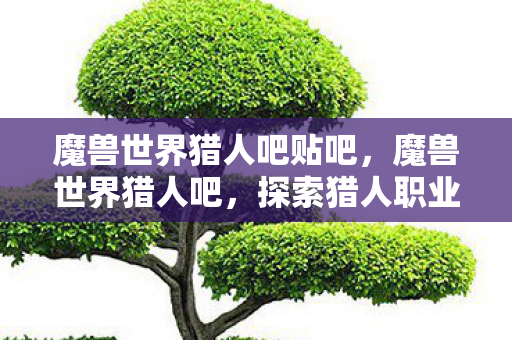 魔兽世界猎人吧贴吧，魔兽世界猎人吧，探索猎人职业的无限魅力与独特之处