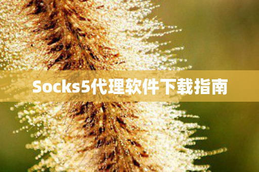 Socks5代理软件下载指南