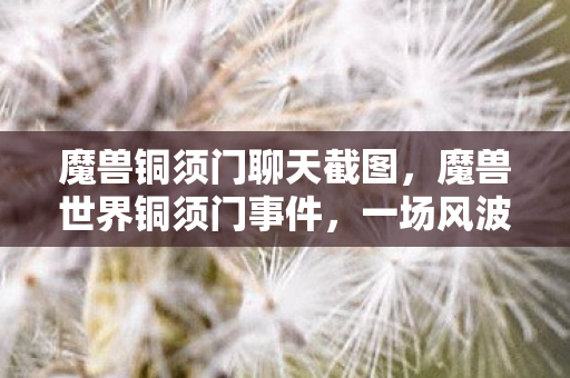 魔兽铜须门聊天截图,魔兽世界铜须门事件,一场风波背后的故事 魔兽铜须门聊天截图,魔兽世界铜须门事件,一场风波背后的故事