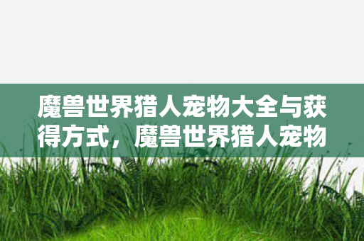 魔兽世界猎人宠物大全与获得方式,魔兽世界猎人宠物大全—你需要的所有信息汇总 魔兽世界猎人宠物大全与获得方式,魔兽世界猎人宠物大全—你需要的所有信息汇总