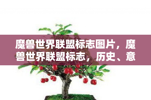 魔兽世界联盟标志图片，魔兽世界联盟标志，历史、意义与影响