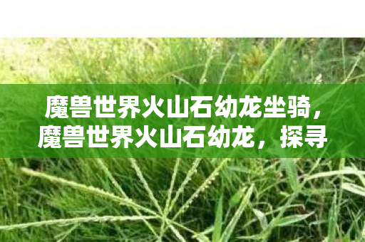 魔兽世界火山石幼龙坐骑，魔兽世界火山石幼龙，探寻神秘生物的魅力之旅