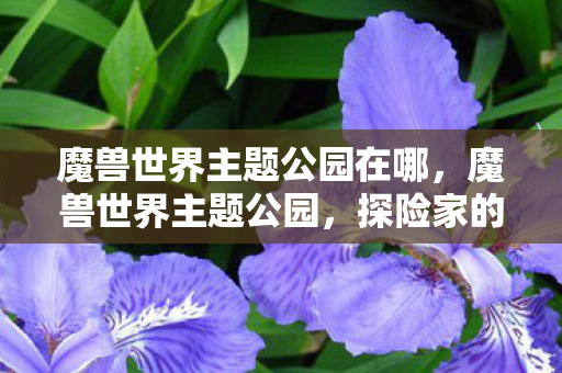 魔兽世界主题公园在哪,魔兽世界主题公园,探险家的梦幻之地 魔兽世界主题公园在哪,魔兽世界主题公园,探险家的梦幻之地
