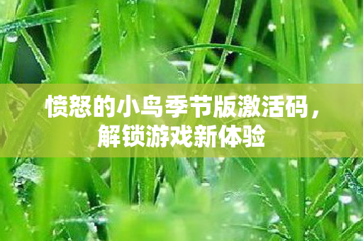 愤怒的小鸟季节版激活码，解锁游戏新体验
