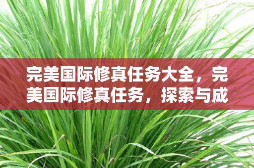 完美国际修真任务大全,完美国际修真任务,探索与成长的双重奖励 完美国际修真任务大全,完美国际修真任务,探索与成长的双重奖励