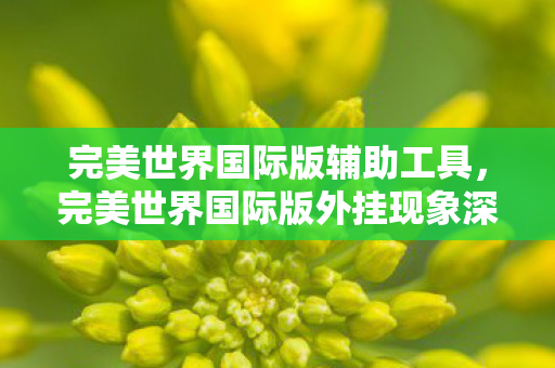 完美世界国际版辅助工具，完美世界国际版外挂现象深度解析