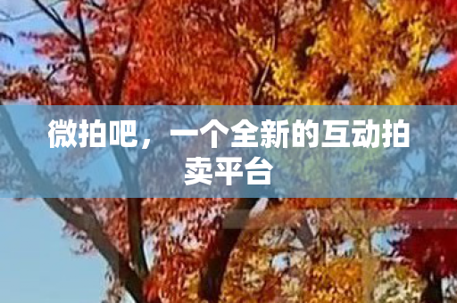 微拍吧,一个全新的互动拍卖平台 微拍吧,一个全新的互动拍卖平台