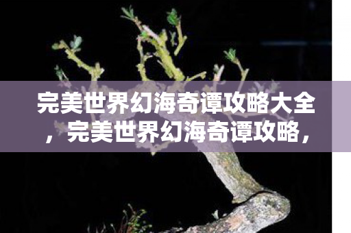 完美世界幻海奇谭攻略大全，完美世界幻海奇谭攻略，探索未知海域的指南