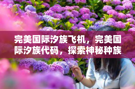 完美国际汐族飞机,完美国际汐族代码,探索神秘种族背后的秘密 完美国际汐族飞机,完美国际汐族代码,探索神秘种族背后的秘密