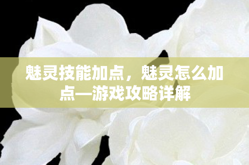 魅灵技能加点,魅灵怎么加点—游戏攻略详解 魅灵技能加点,魅灵怎么加点—游戏攻略详解