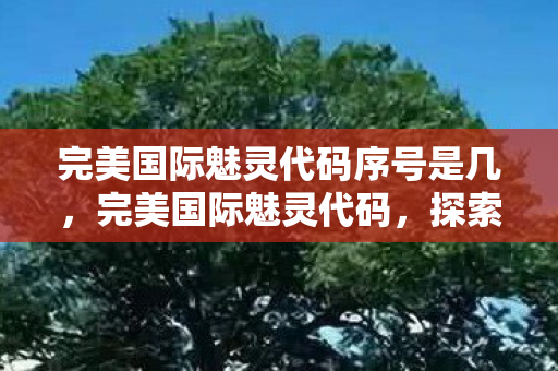 完美国际魅灵代码序号是几，完美国际魅灵代码，探索神秘力量的奇幻之旅