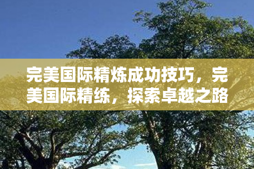 完美国际精炼成功技巧，完美国际精练，探索卓越之路的无尽奥秘