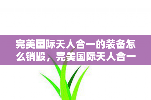 完美国际天人合一的装备怎么销毁,完美国际天人合一,探寻天人合一的奥秘与意义 完美国际天人合一的装备怎么销毁,完美国际天人合一,探寻天人合一的奥秘与意义