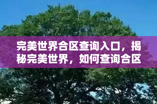 完美世界合区查询入口，揭秘完美世界，如何查询合区信息？玩家必备指南！