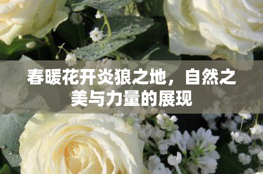 春暖花开炎狼之地，自然之美与力量的展现