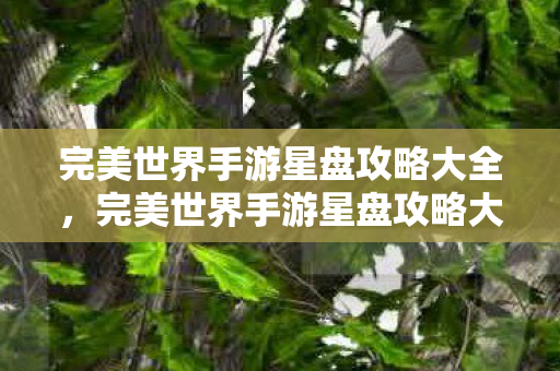 完美世界手游星盘攻略大全,完美世界手游星盘攻略大全 完美世界手游星盘攻略大全,完美世界手游星盘攻略大全