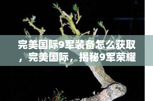 完美国际9军装备怎么获取，完美国际，揭秘9军荣耀背后的故事