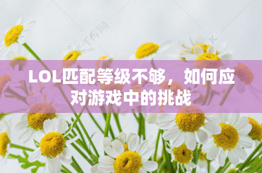 LOL匹配等级不够，如何应对游戏中的挑战