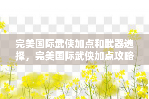 完美国际武侠加点和武器选择，完美国际武侠加点攻略，打造无敌战士