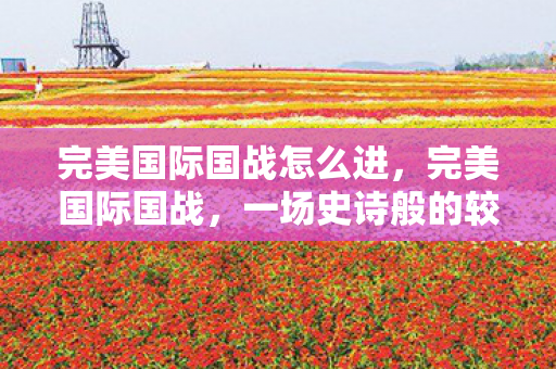 完美国际国战怎么进，完美国际国战，一场史诗般的较量